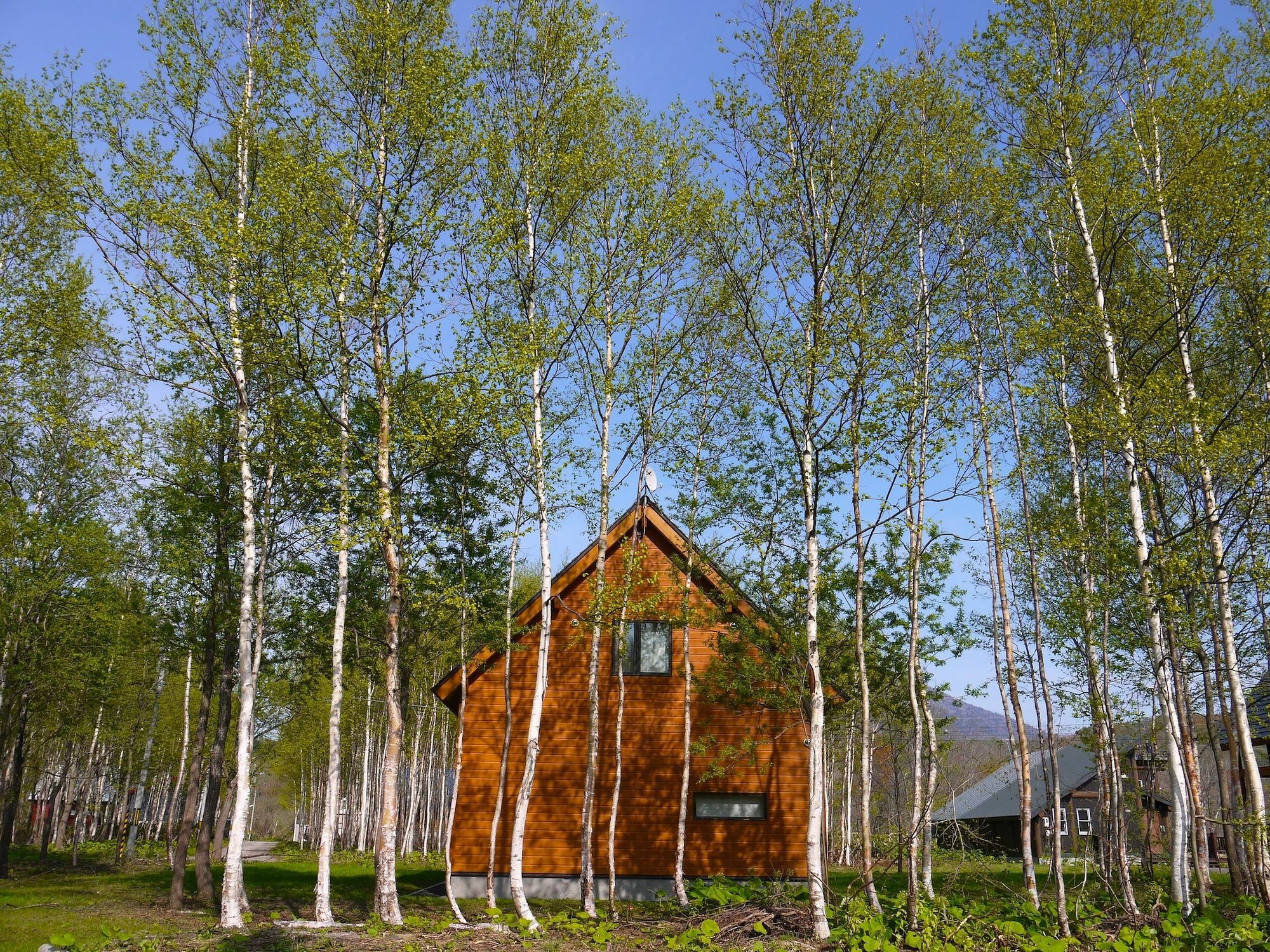 Country Resort Niseko Kutchan Dış mekan fotoğraf